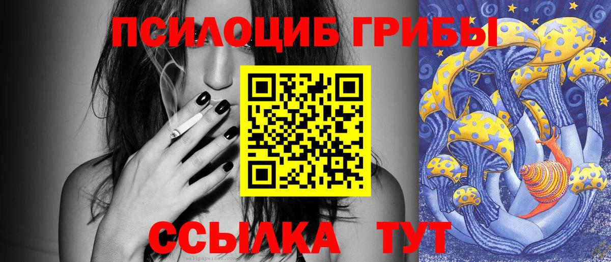 Псилоцибиновые грибы Psilocybe Ишимбай