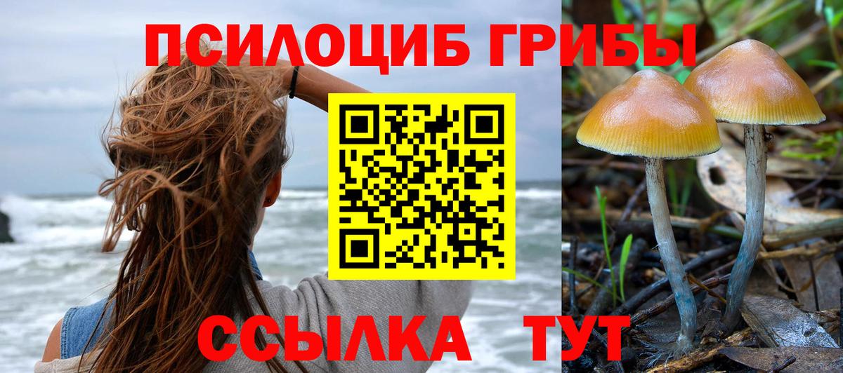 Галлюциногенные грибы ЛСД  где купить наркотик  Галлюциногенные грибы GOLDEN TEACHER  Ишимбай  Вход с VPN 